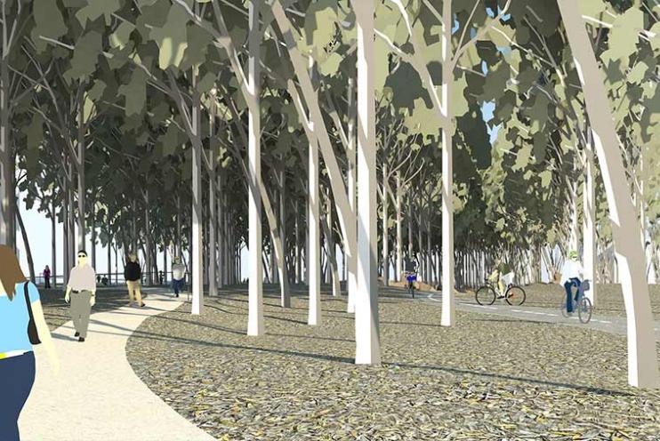 Ucsd Bike Pedestrian Improvements T B Penick Sons Inc Design Build Separation Of Pedestrian Bike Paths And Various Site Improvements